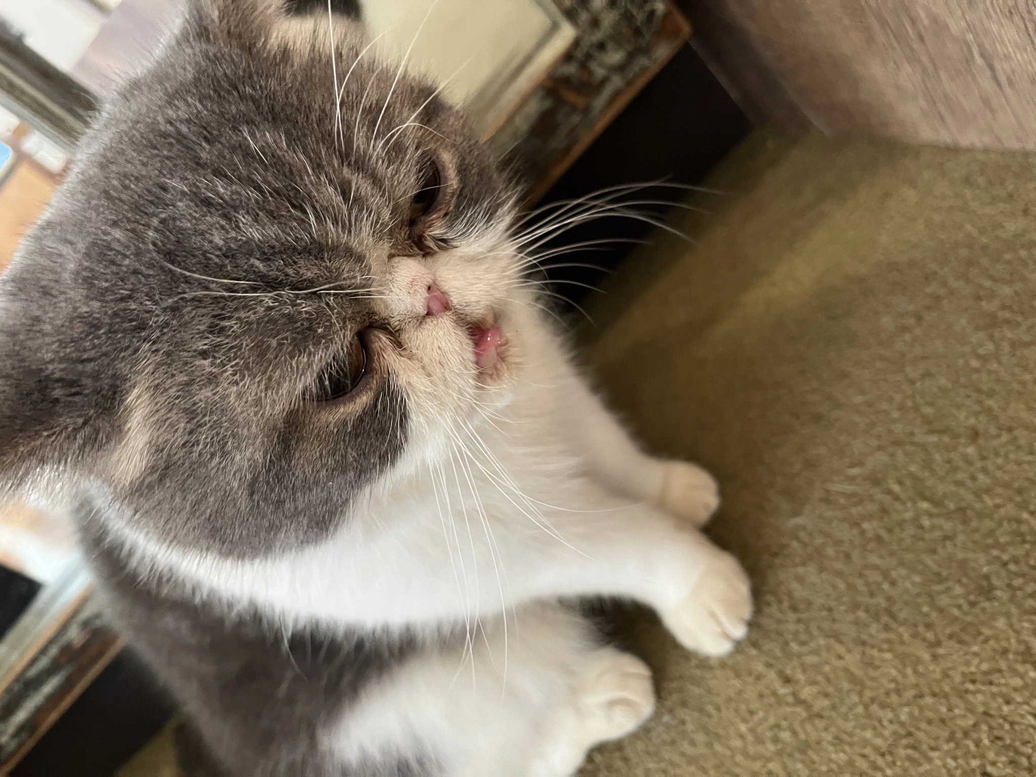 まき