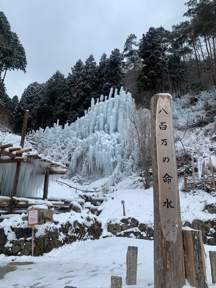 柏木 唯愛