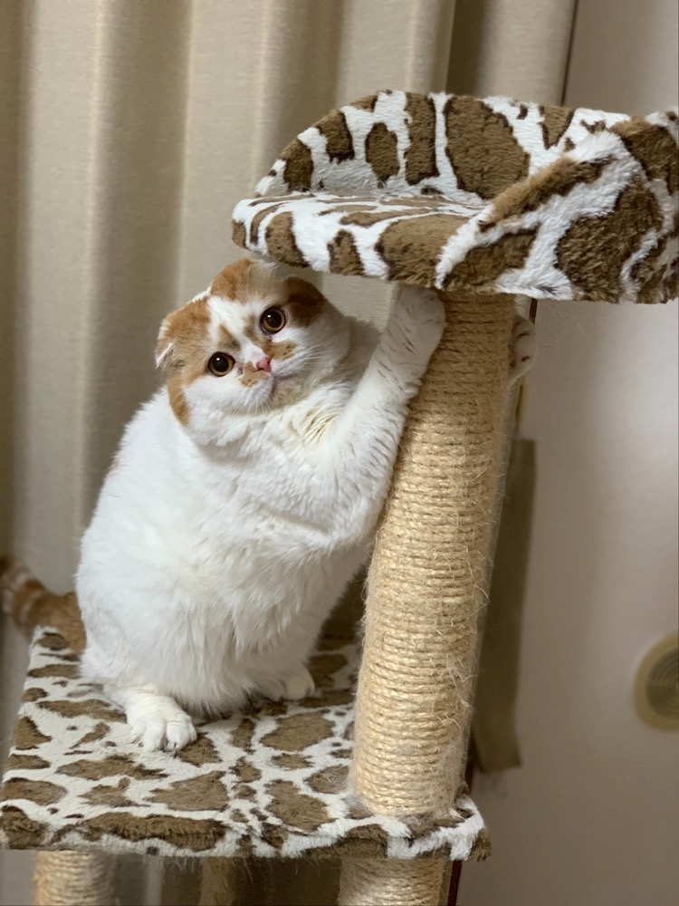 れみ