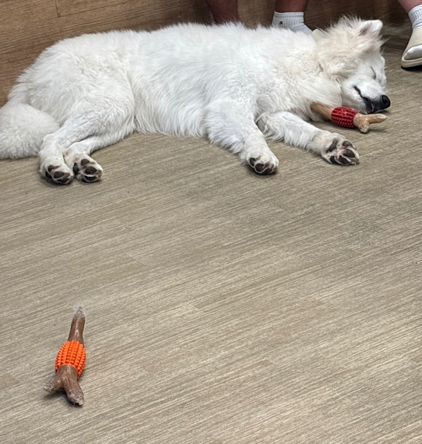 かのん