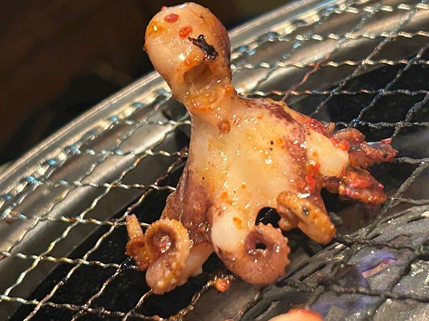 湊崎 さな