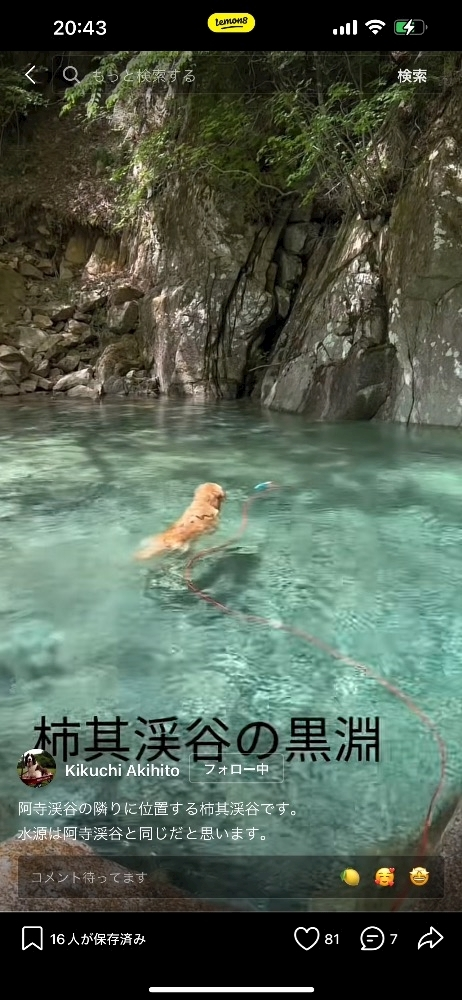 柏木 唯愛