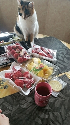 りか