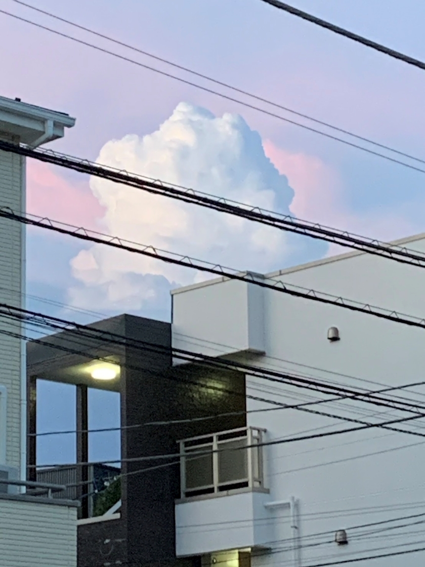 みお
