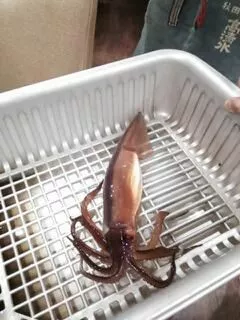 愛羽 仁美