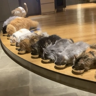 ひじり