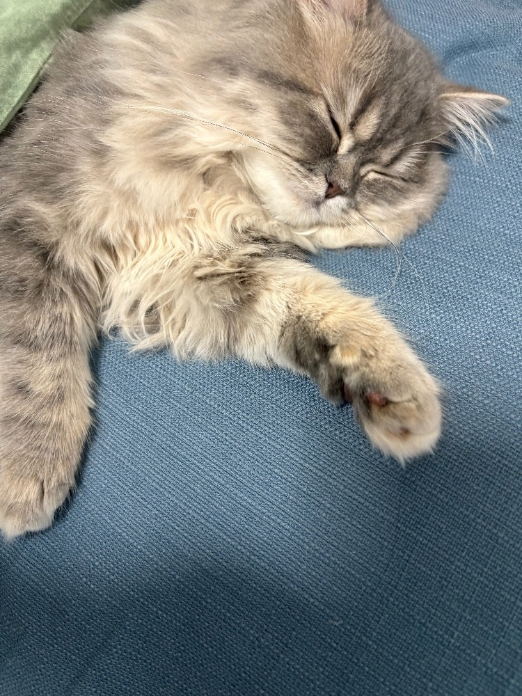 ミヅキ