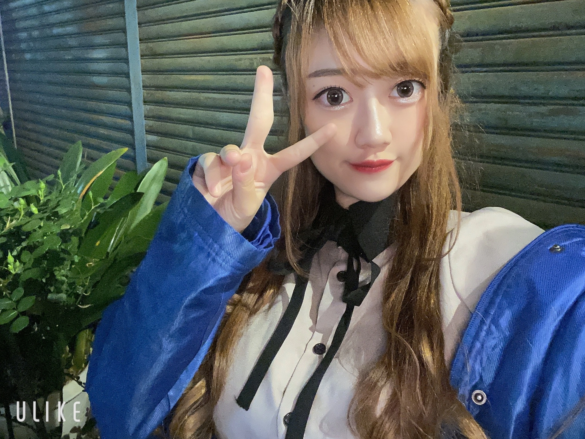 あみ