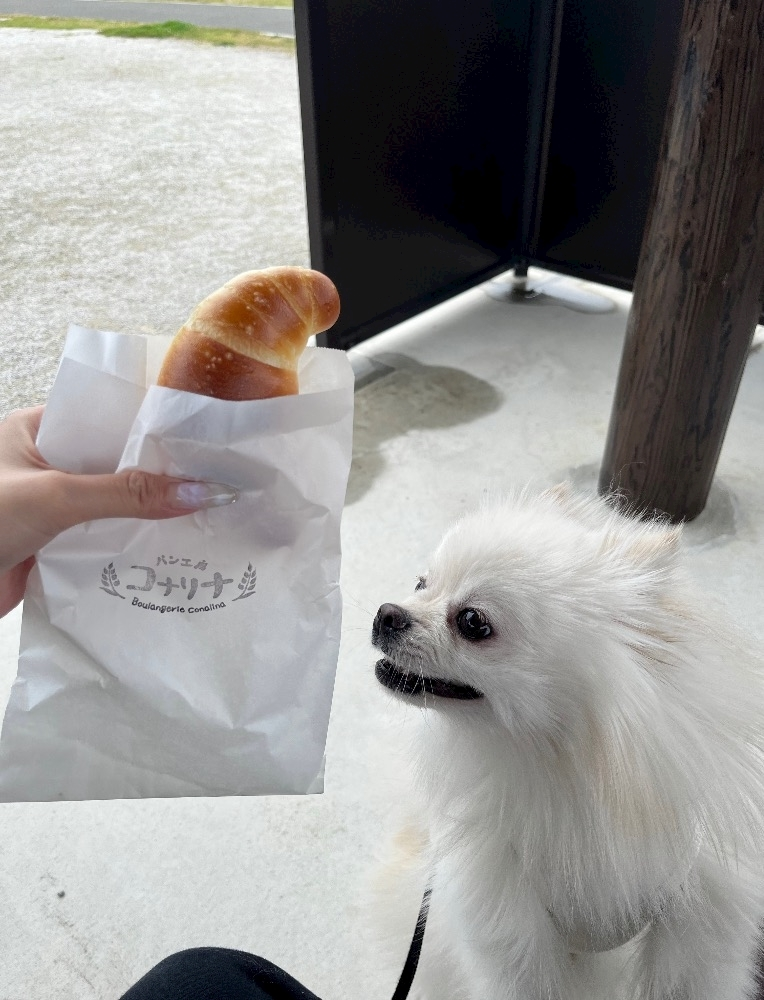 七瀬 なな