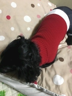 りえ