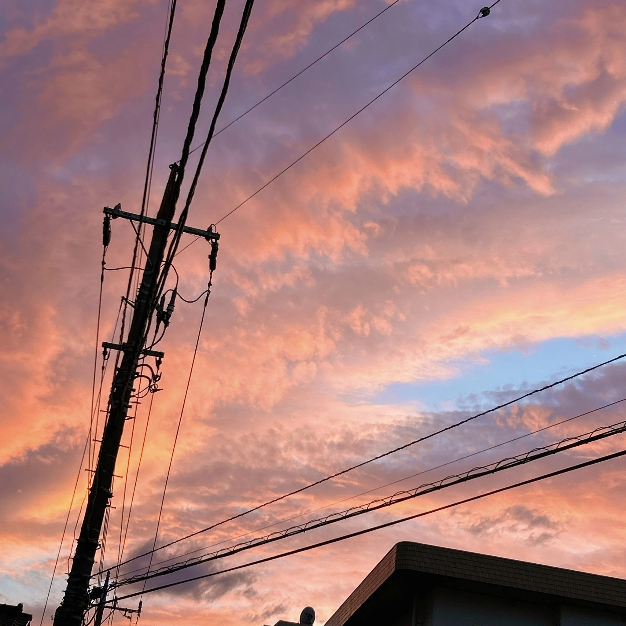 しずか
