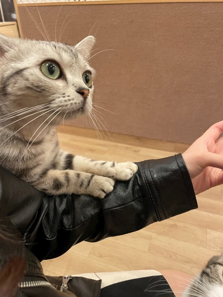 一ノ瀬 くるみ