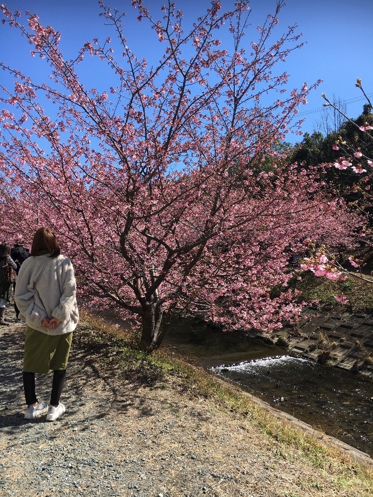 朝比奈 みく