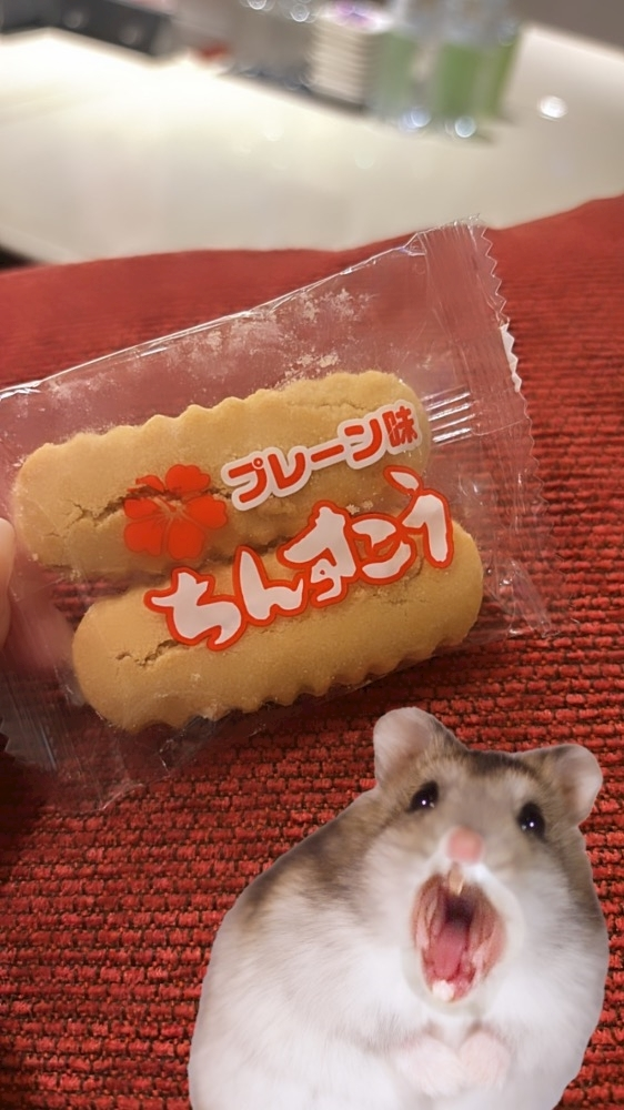 大園 桃子