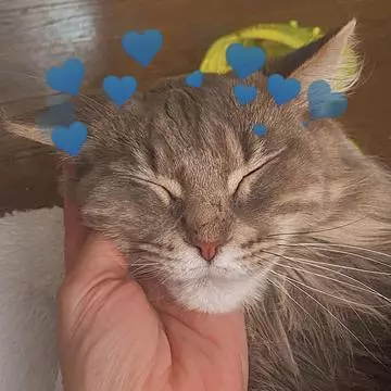 蓮海 マリーヤ