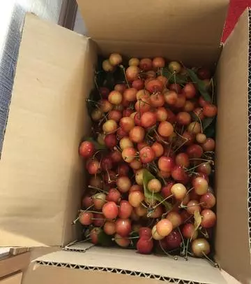 長瀬 純恋