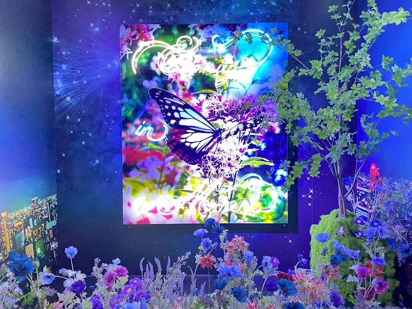 七瀬 みずき