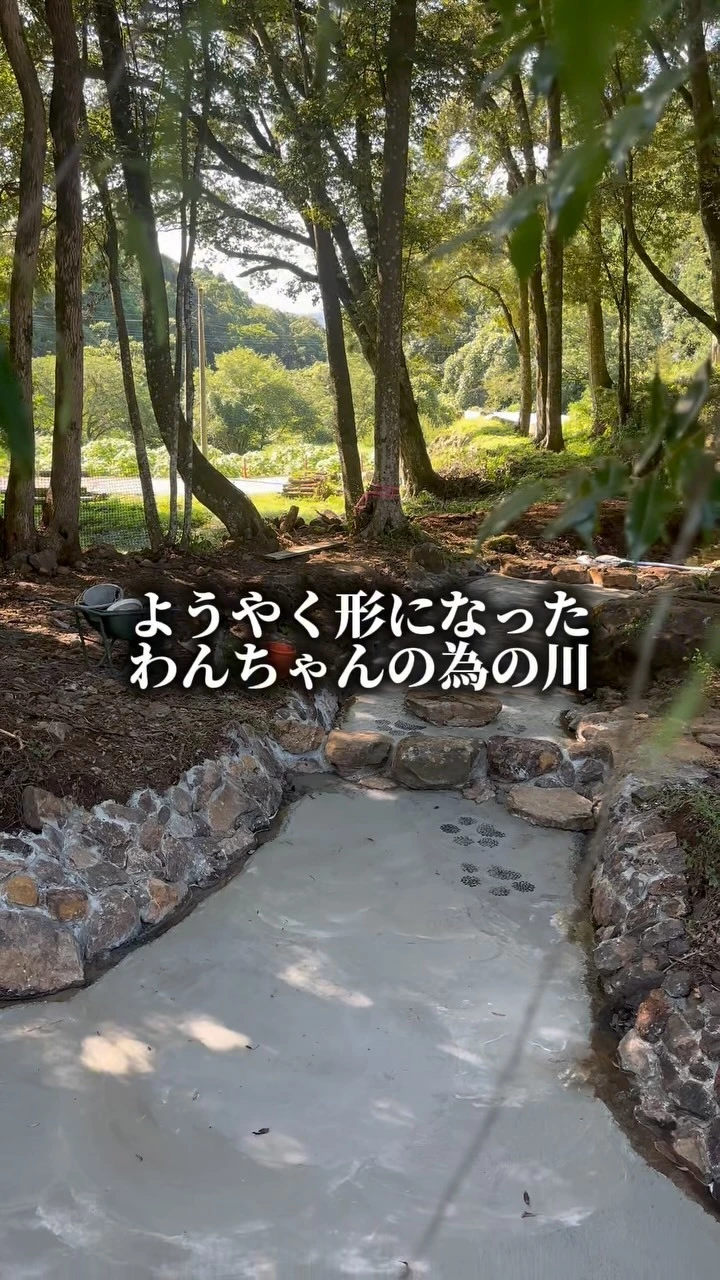 みこ