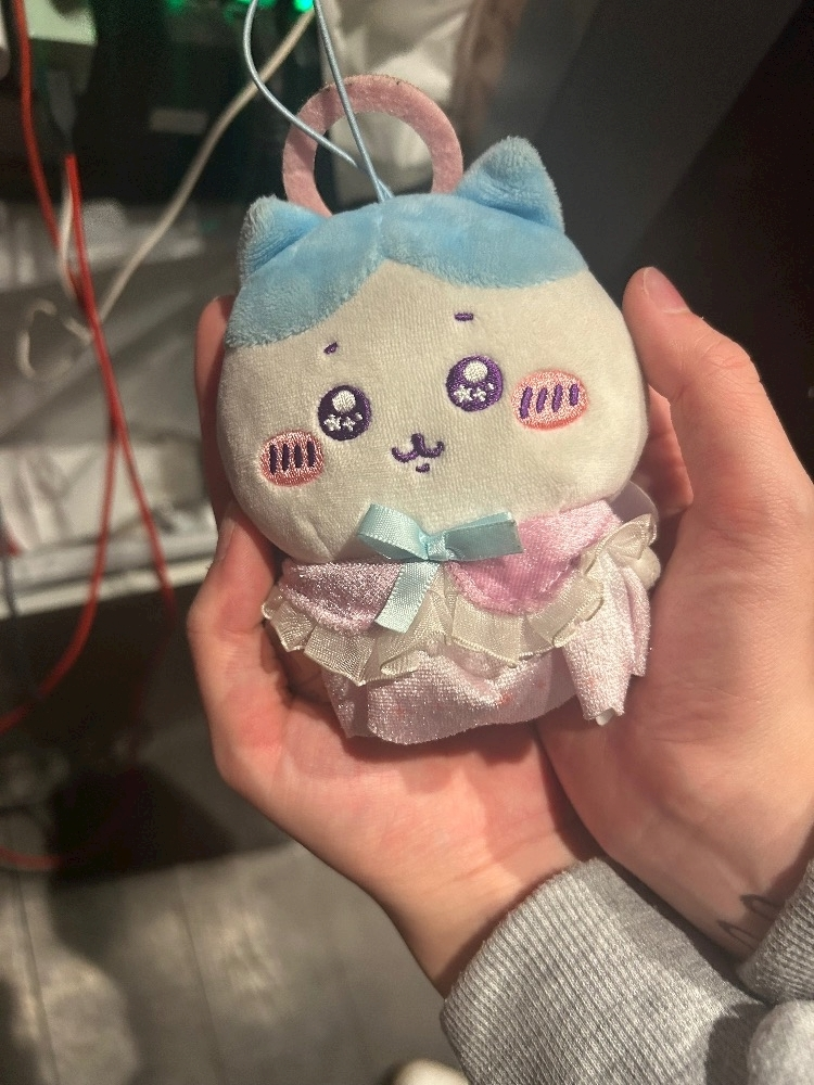かびるんるんさわ