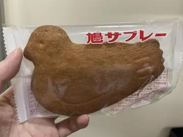 七星 夏純