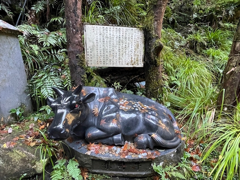 朝倉 しおり