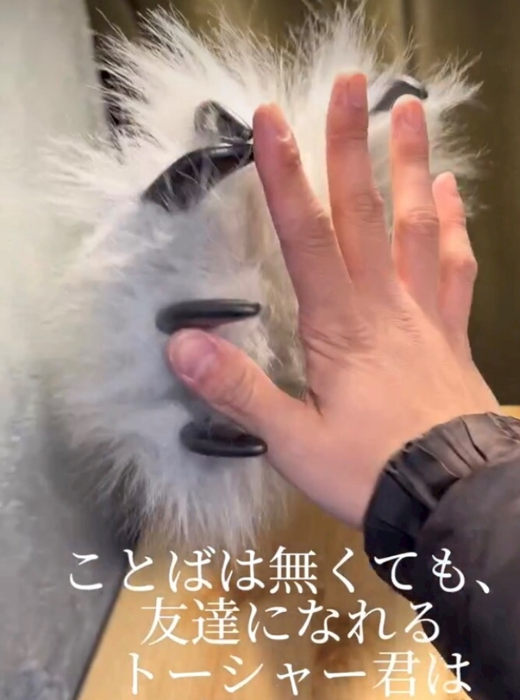 ゆか