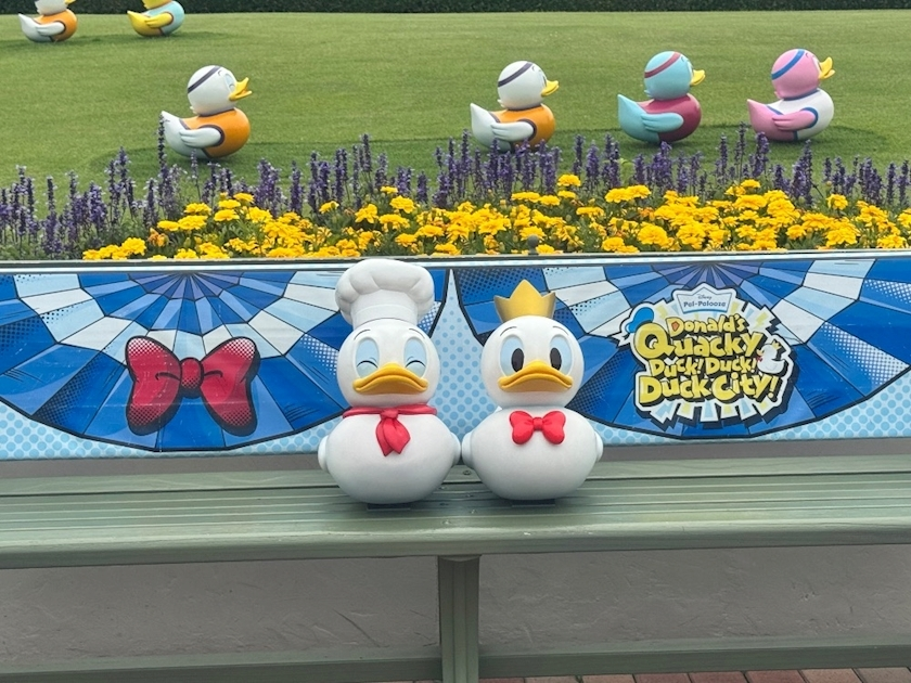 金城 ちあき