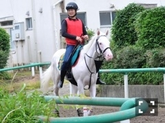 ゆう