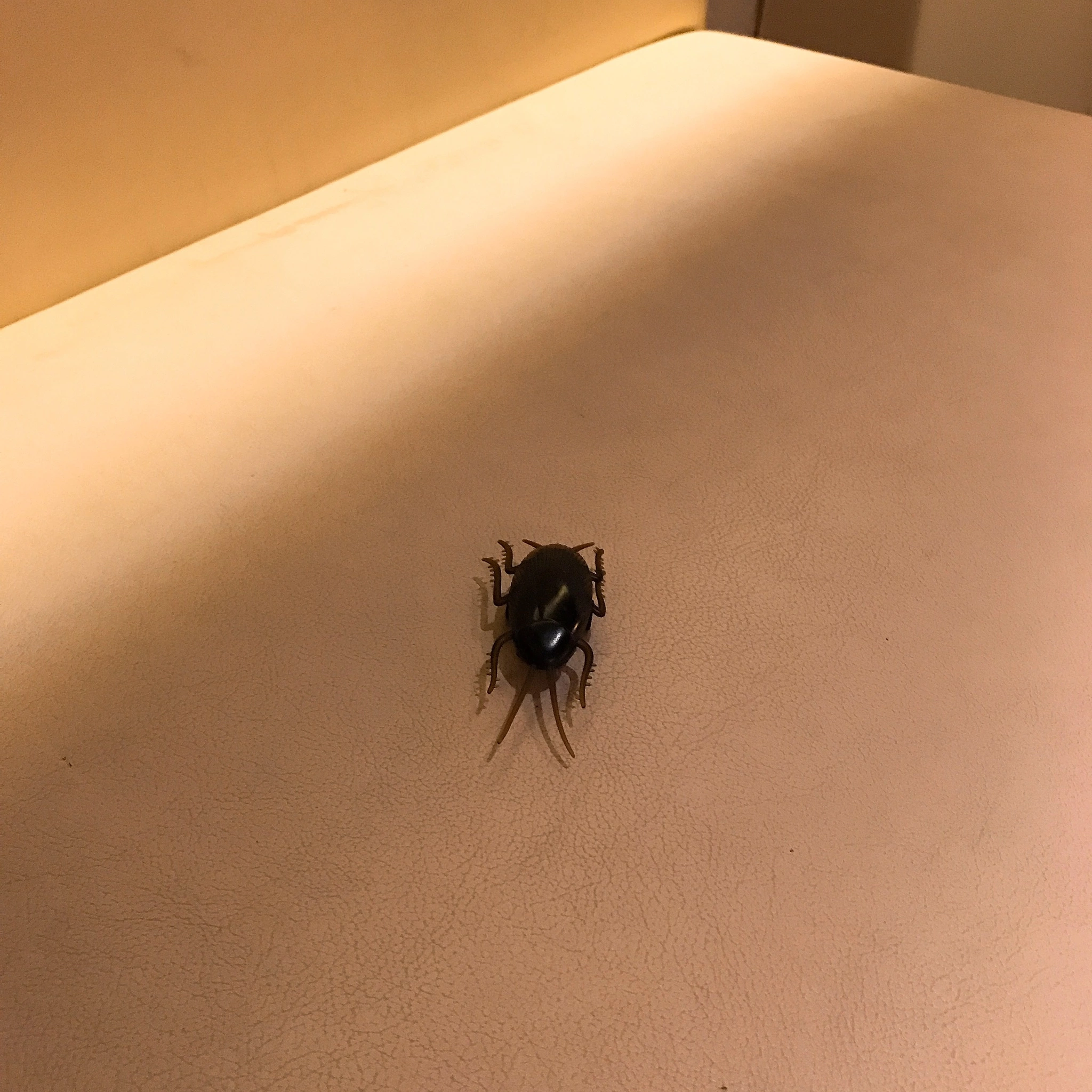 妃咲 れいか
