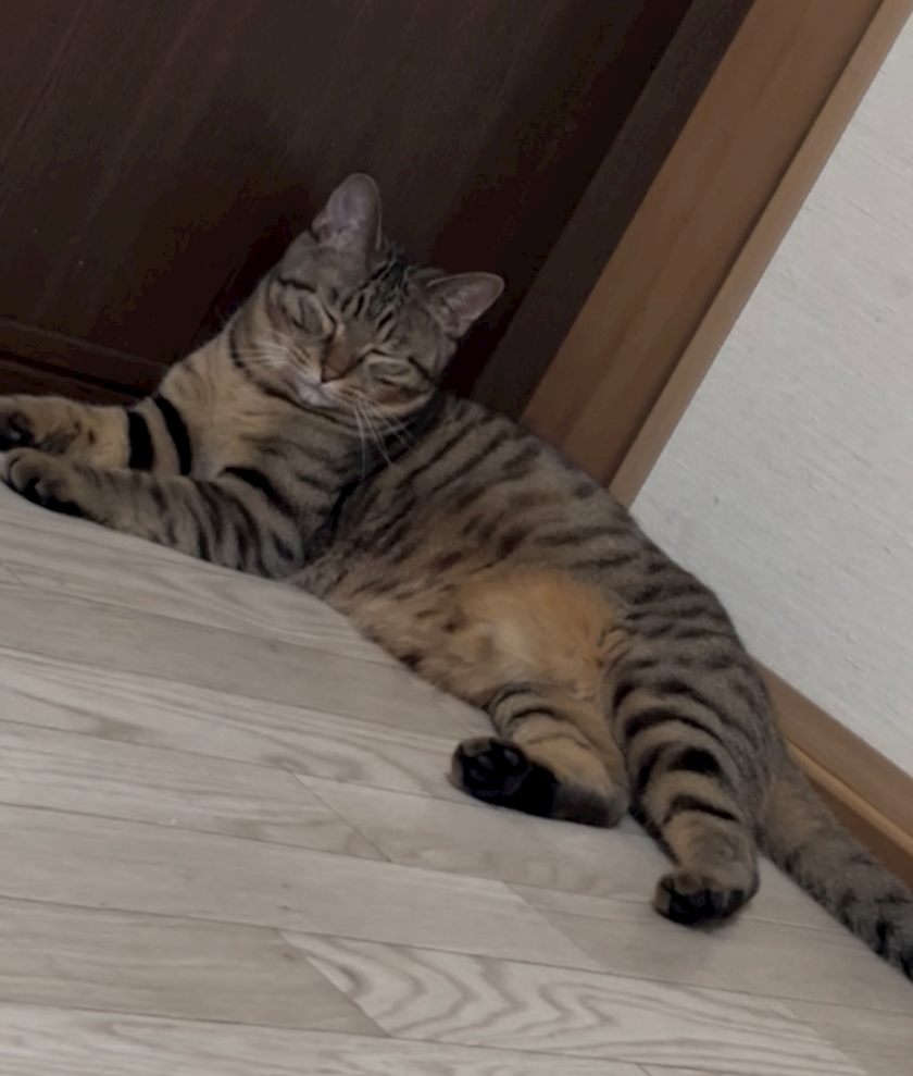 藤花 ゆの