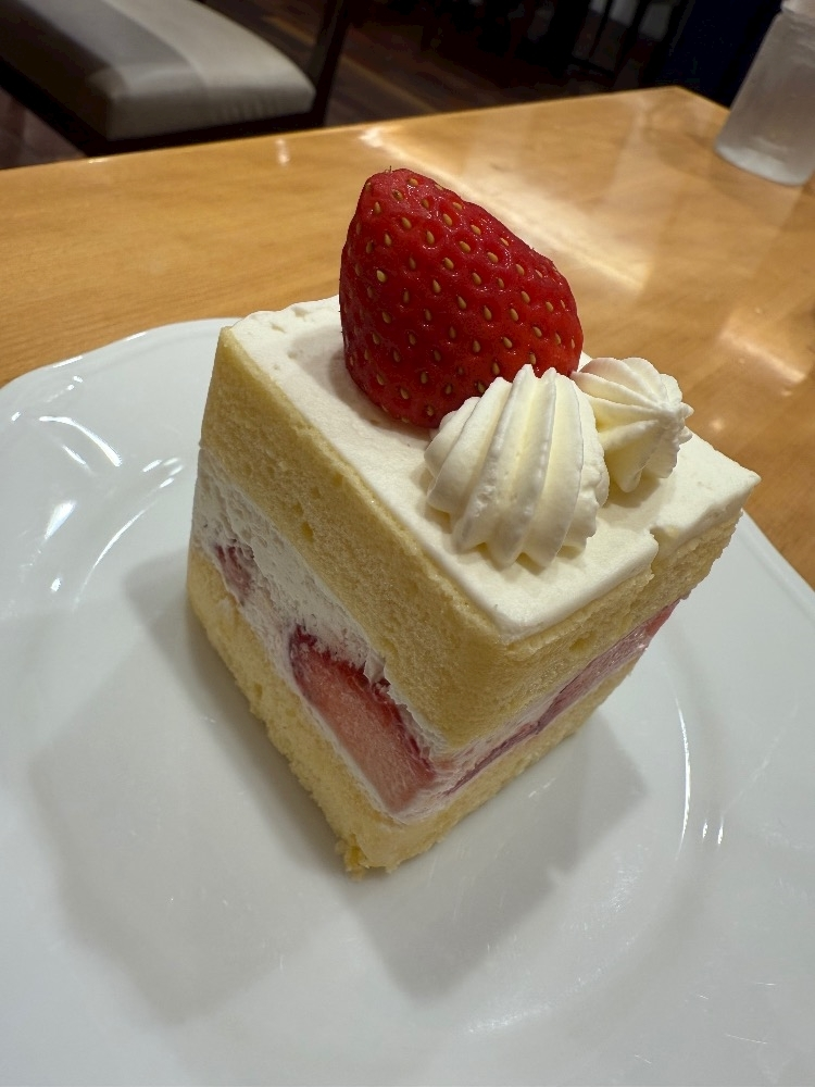 野本 明日香