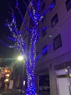 みゆ