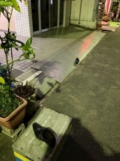 えり