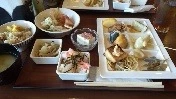 紗羅
