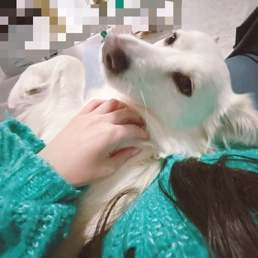 京 さゆみ
