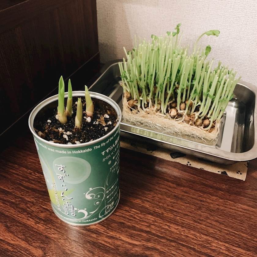 七海 結愛