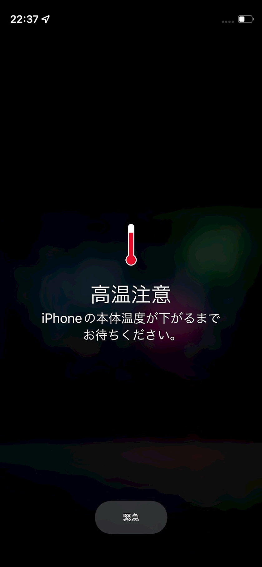 七海 結愛
