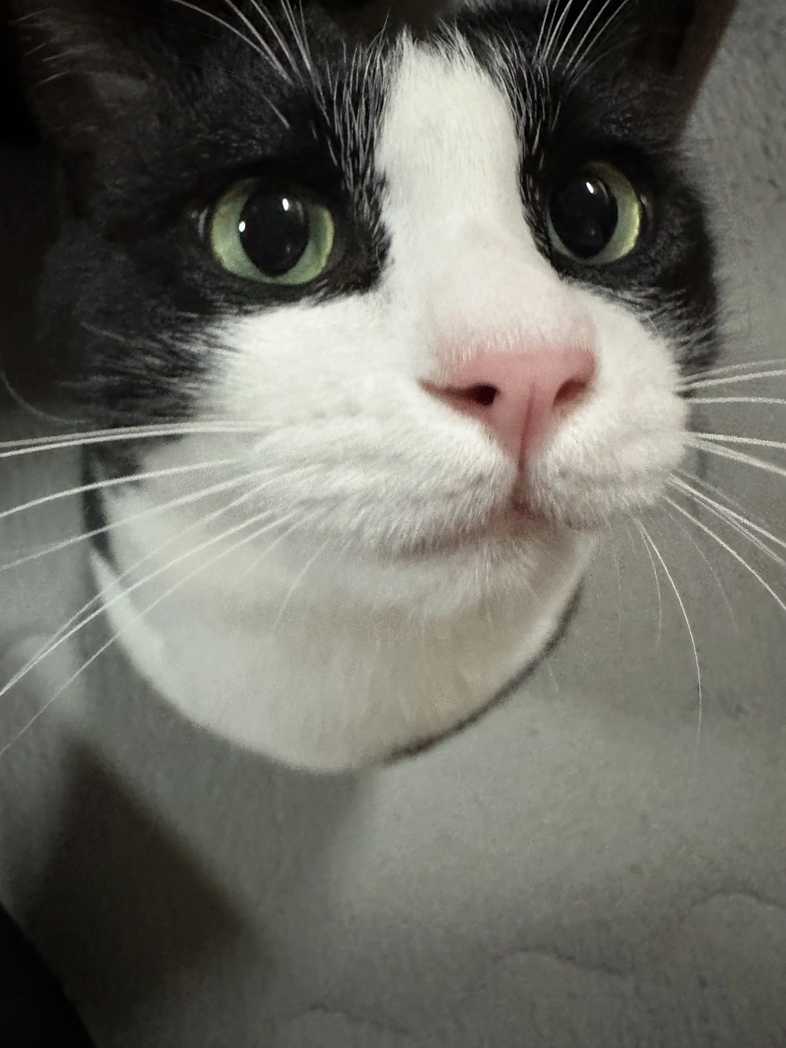 あやね