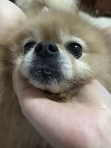 はるか
