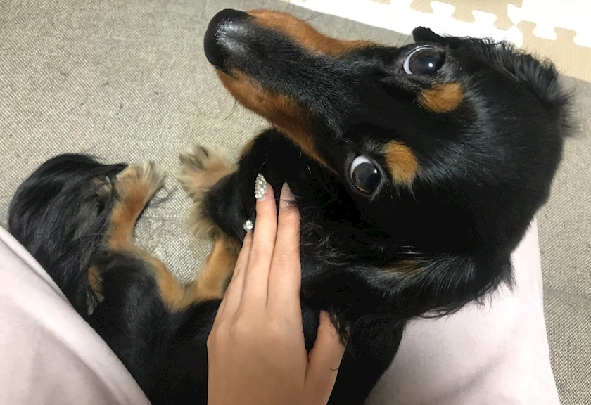 ゆうな