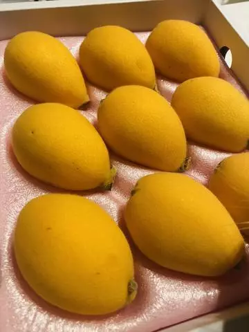 長瀬 純恋