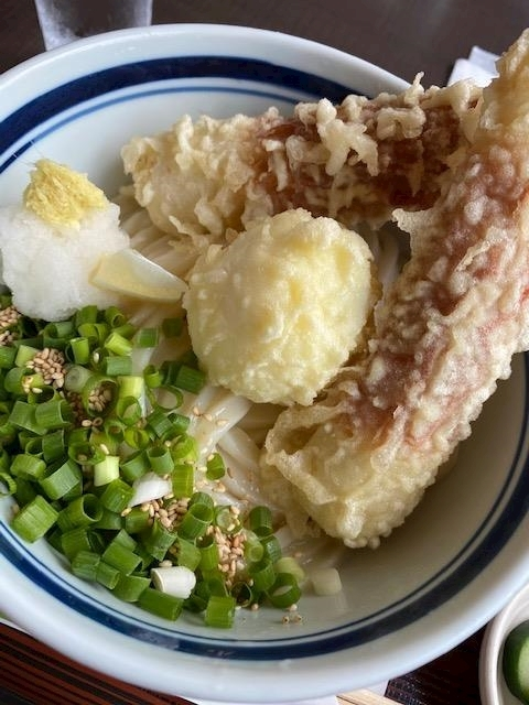 桜乃 咲美