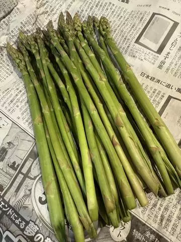 白石 愛莉