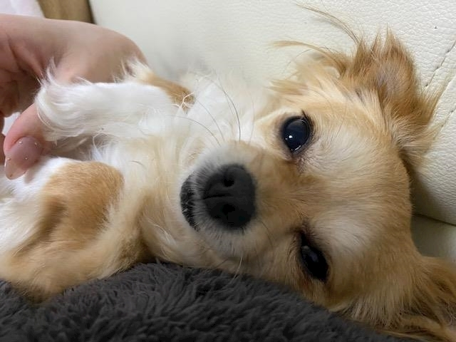 七瀬 みずき