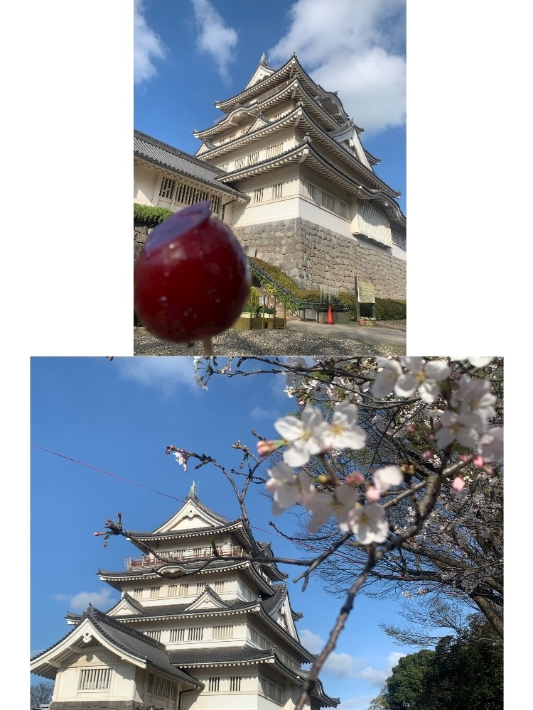 はづき