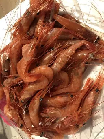 長瀬 純恋