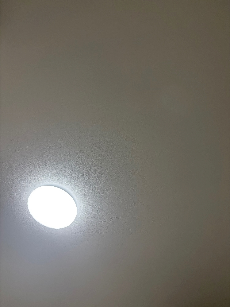 もも