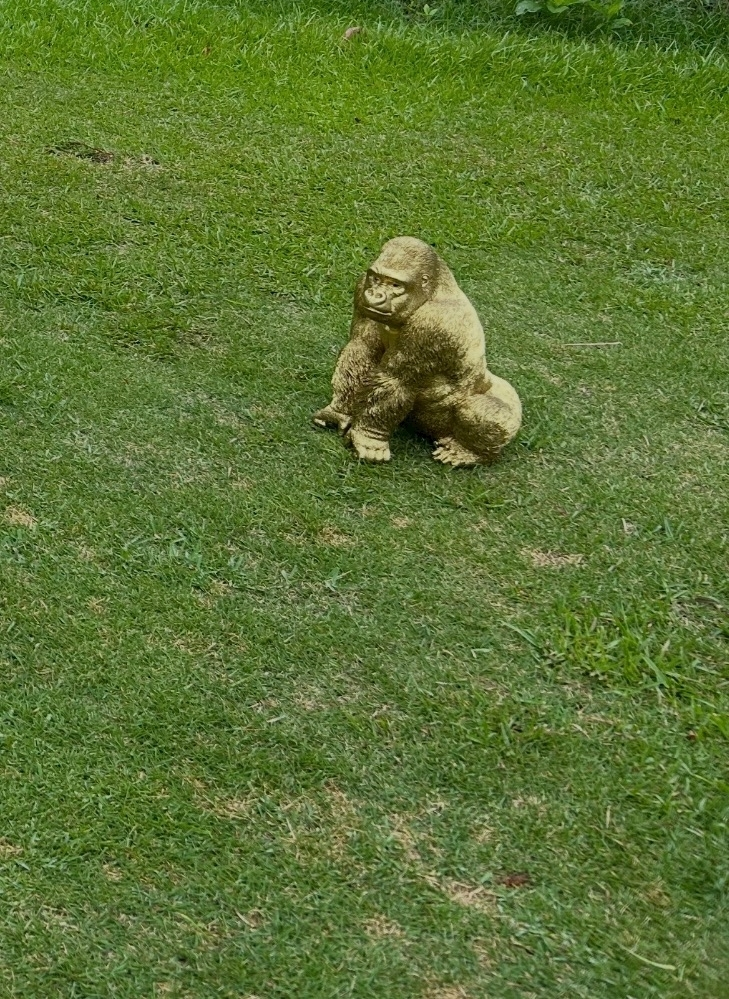 美月