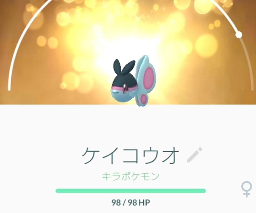 五条 椿