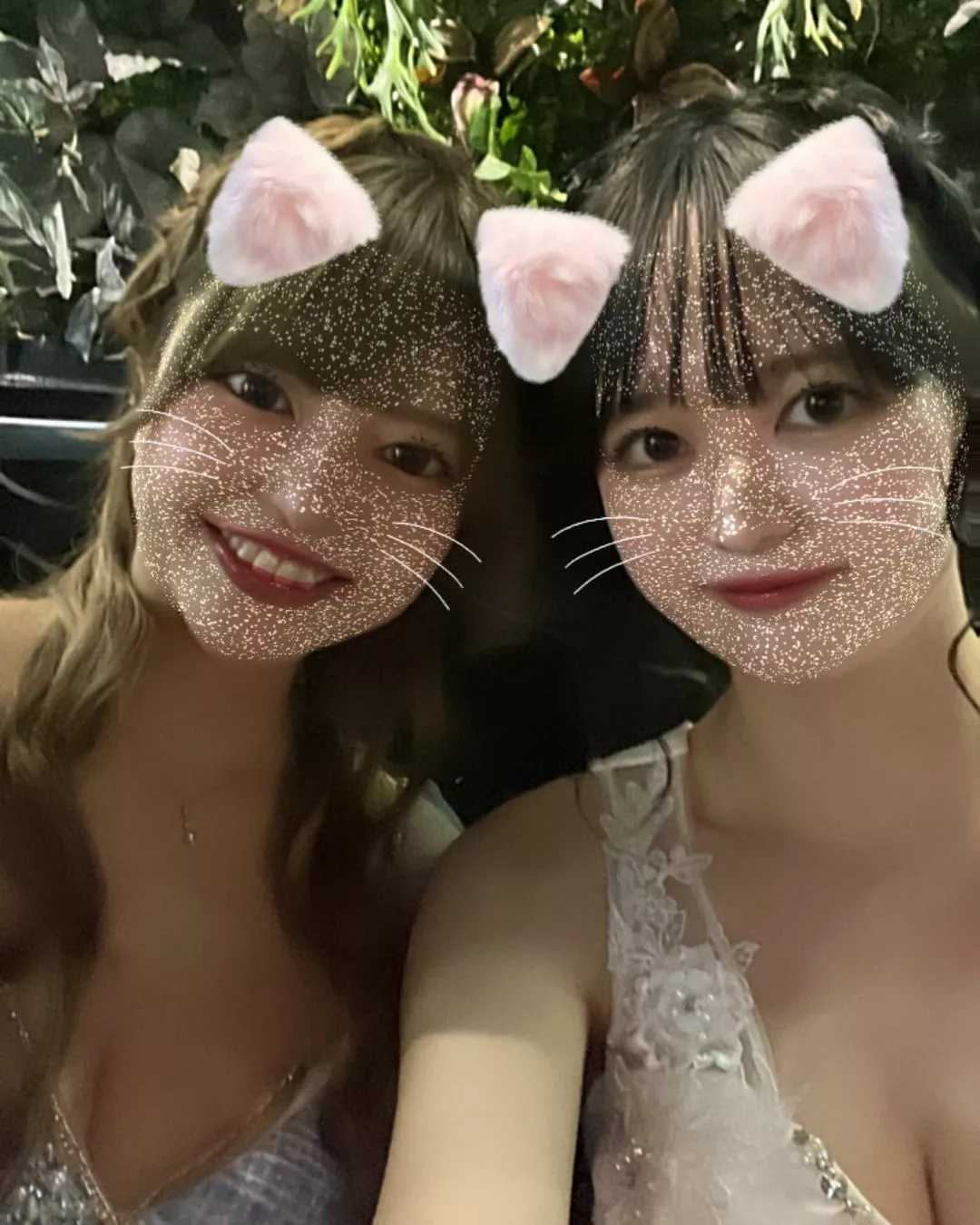 ゆめ